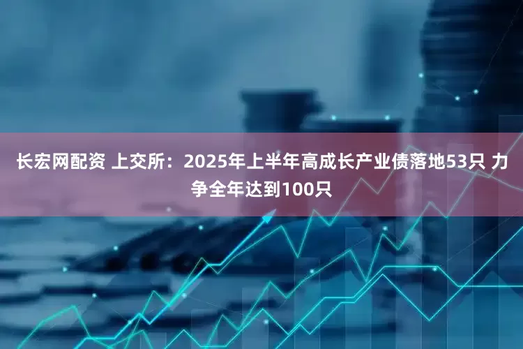 长宏网配资 上交所：2025年上半年高成长产业债落地53只 力争全年达到100只