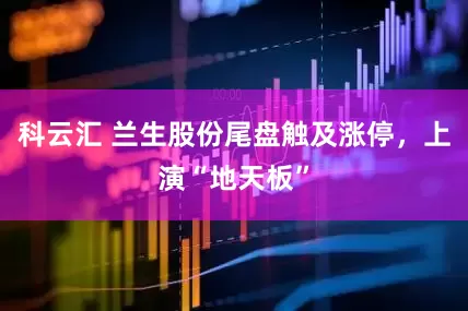 科云汇 兰生股份尾盘触及涨停，上演“地天板”