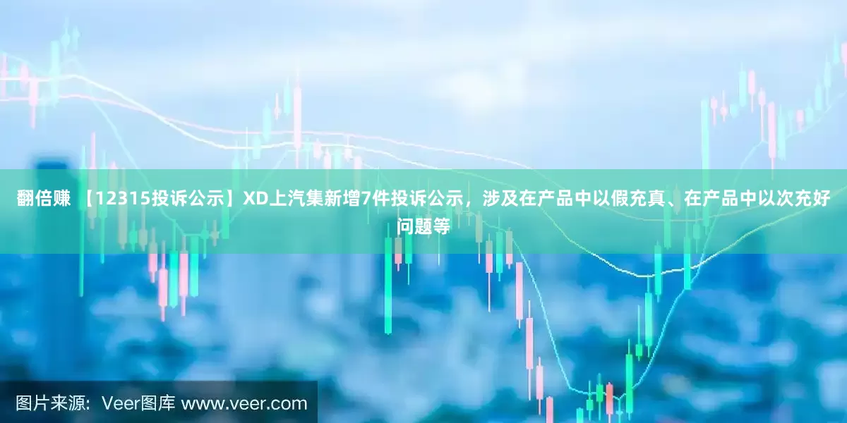 翻倍赚 【12315投诉公示】XD上汽集新增7件投诉公示，涉及在产品中以假充真、在产品中以次充好问题等