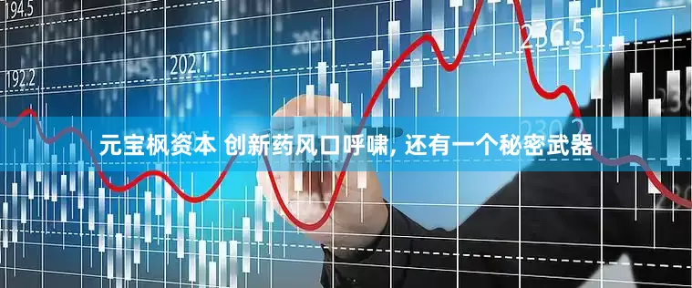 元宝枫资本 创新药风口呼啸, 还有一个秘密武器