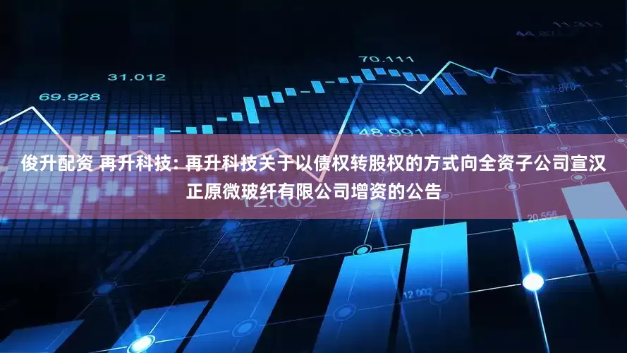 俊升配资 再升科技: 再升科技关于以债权转股权的方式向全资子公司宣汉正原微玻纤有限公司增资的公告