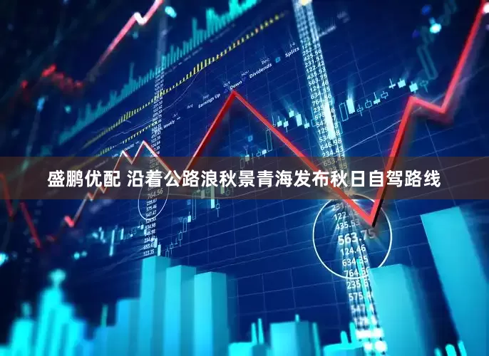盛鹏优配 沿着公路浪秋景青海发布秋日自驾路线