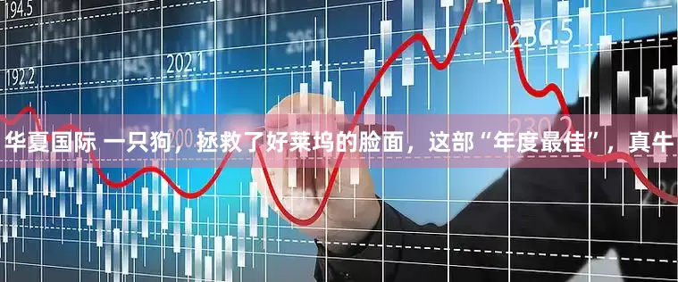 华夏国际 一只狗，拯救了好莱坞的脸面，这部“年度最佳”，真牛